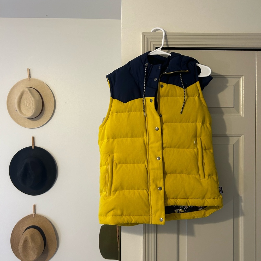 Patagonia vest